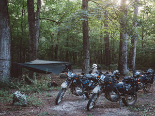 Motorcycles in woods.